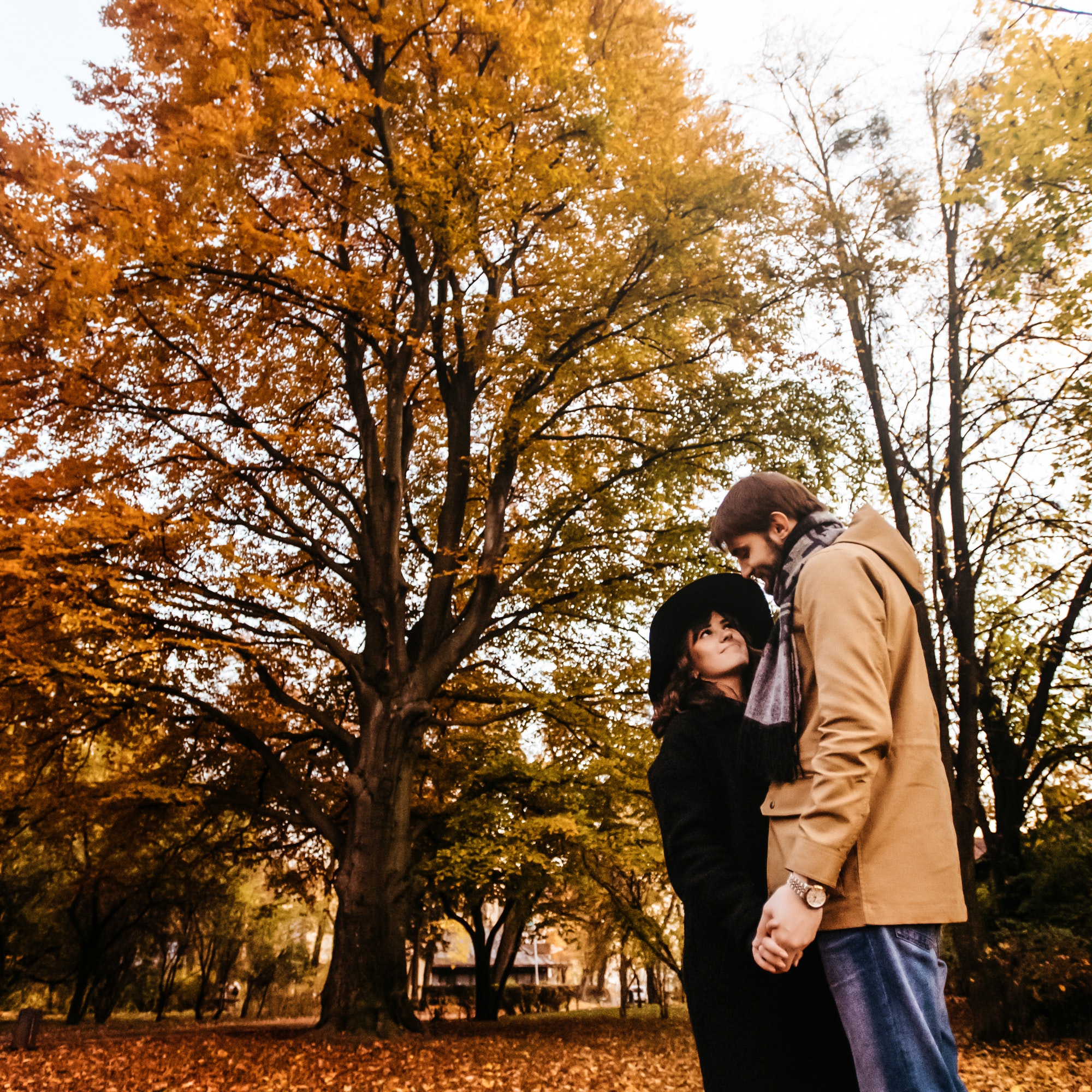 attractive happy luxury couple hugging and holding hands with tender in autumn colorful park